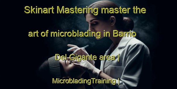 Skinart Mastering master the art of microblading in Barrio Del Gigante area | MicrobladingTraining | MicrobladingClasses | SkinartTraining-Mexico